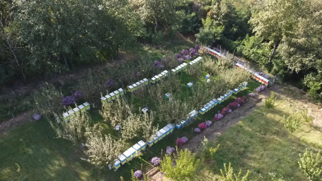 Pčelarski kalendar 2026 – Od zime do medene paše