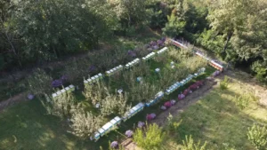 Pčelarski kalendar 2026 – Od zime do medene paše